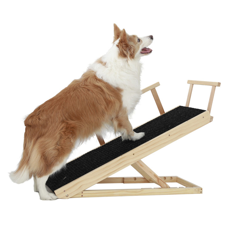 Wayfair pet outlet ramp